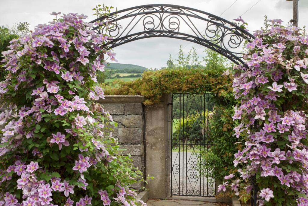 Glasha Farmhouse Guest House Ballymacarbry Exterior photo