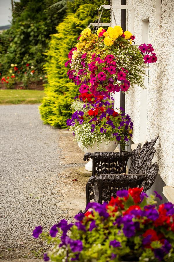 Glasha Farmhouse Guest House Ballymacarbry Exterior photo